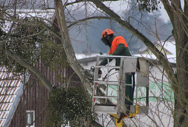 man sawing through tree that is falling on home