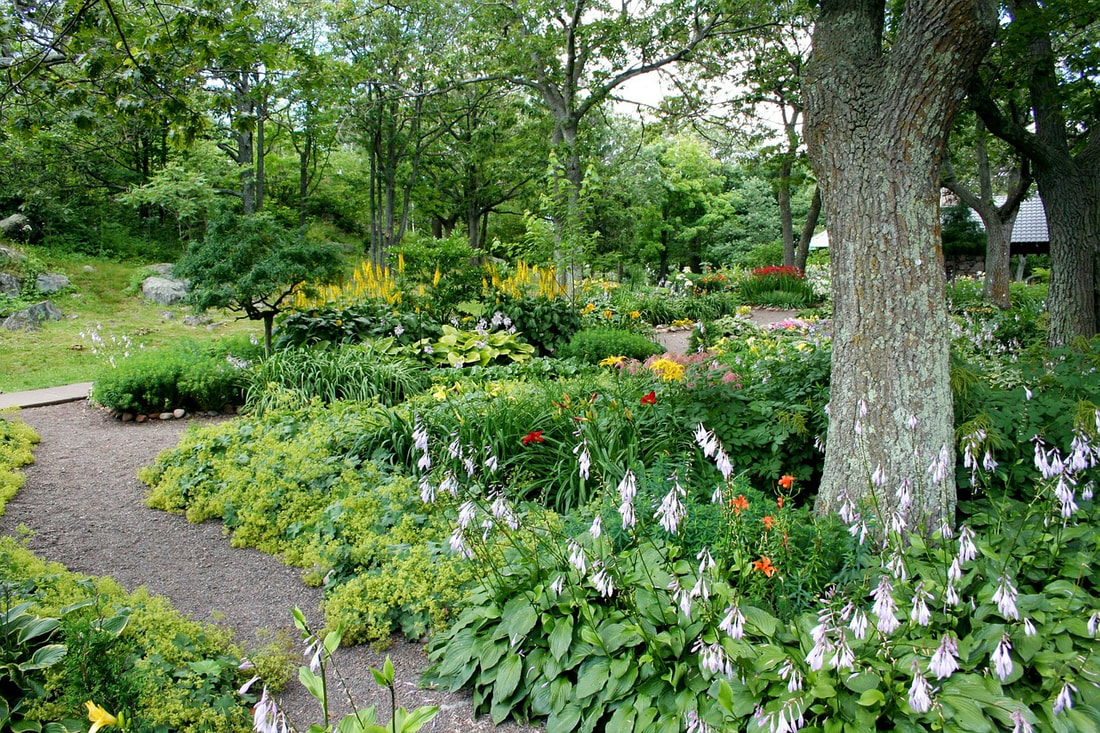 garden full of flowers and shrubs in Norwalk, CT