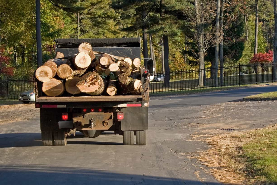 logs hauled away on the back of a flatbed truck